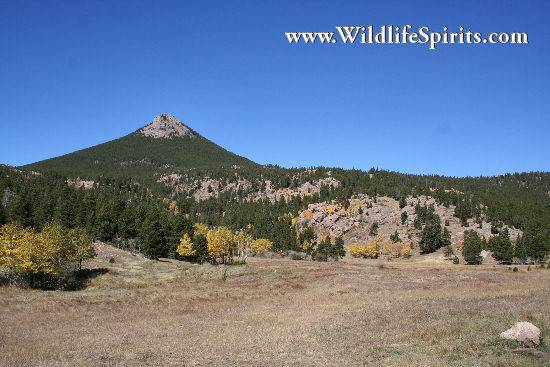 Click Picture to send as an  E-PostCard 56k 550x367